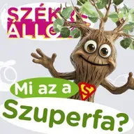 Mi az a szuperfa és miért van rá szükség?🌲🌍I Székre Állok Ortutay Dórival és Hajdu Steve-vel