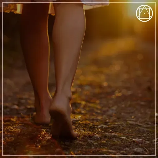 #87 Quem somos nós? Quem é o peregrino que busca a verdade?