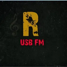 Rádio usb fm