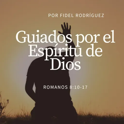 Guiados por el Espíritu Santo