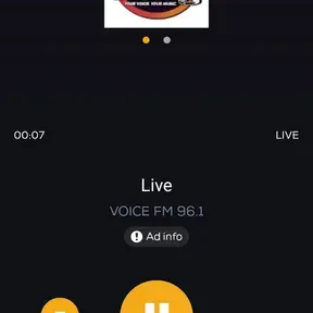 Voice 96.1