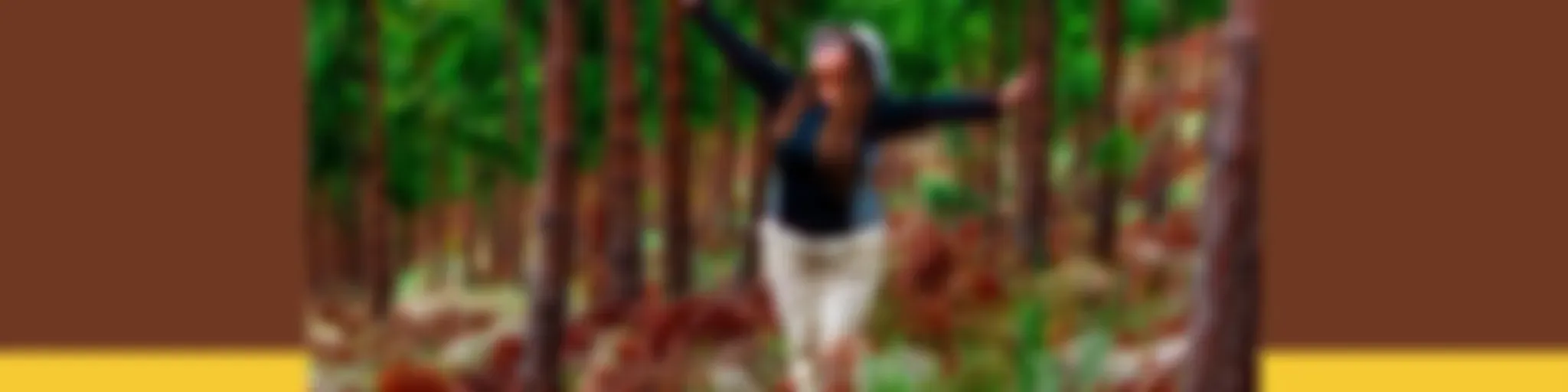 Viajes Terapéuticos