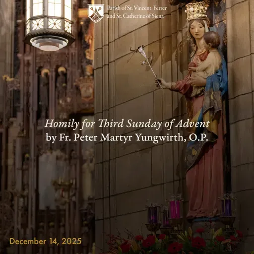 19. Homily for Third Sunday of Advent by Fr. Peter Martyr Yungwirth, O.P.