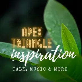 APEX TRIANGLE  INSPIRATION