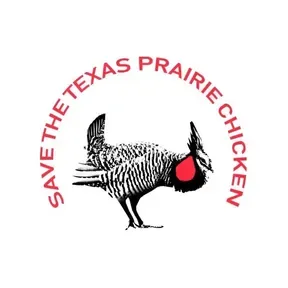 Radio Free Texas Prairie Chicken