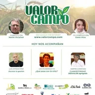 Programa Completo Valor Campo 27-11-2024
