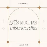 Oración 30 de julio (Tus muchas misericordias)