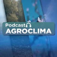 #916 Agroclima: Quinta-feira de tempo firme em quase todo o Brasil