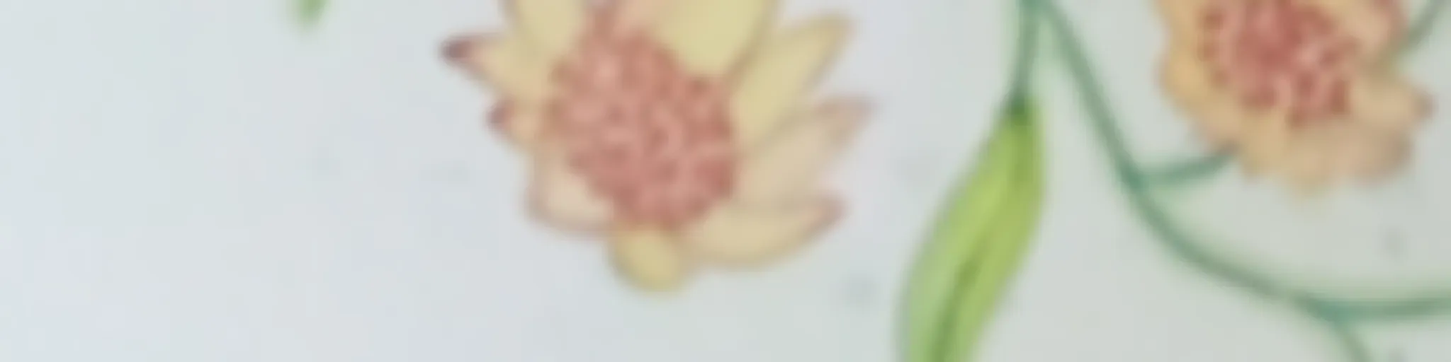 Compartiendo Un Curso de Milagros.
Podcast