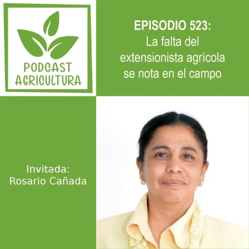 523 La falta del extensionista agrícola se nota en el campo con Rosario Cañada