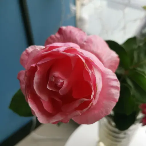 Tienes que pasar la noche oscura, tienes que pasar la prueba 💚