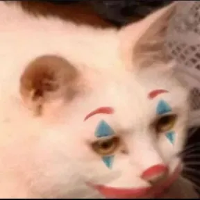 Comunità di Clown