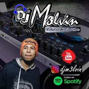djm3lvin