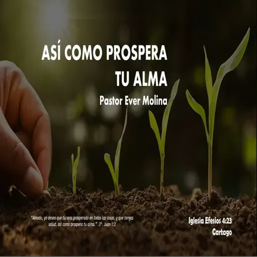 ASÍ COMO PROSPERA TU ALMA