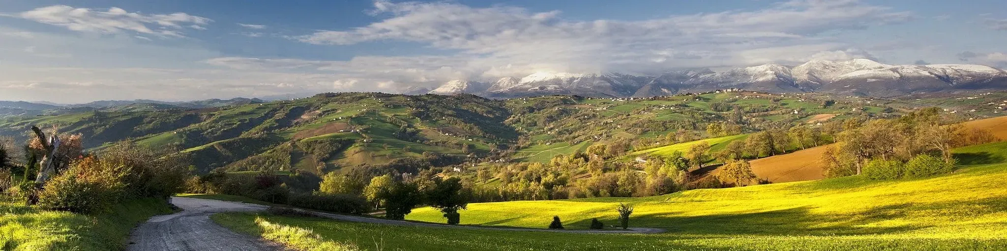 Radio Assembleia da Missão