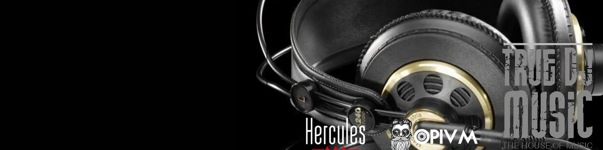 True dj radio music