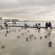 #385. Mektûba Zîzê: Barê Stenbolê