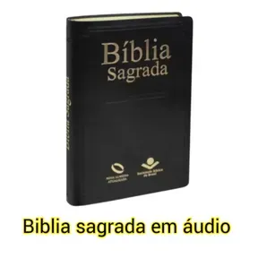 Biblia sagrada em áudio