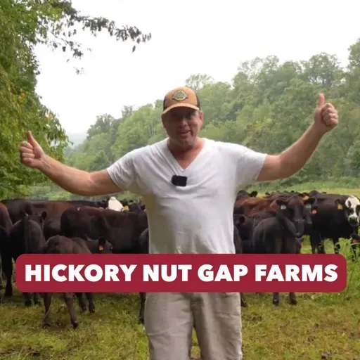Pioneering a New Food Model Around Grass-Fed Cows - Hickory Nut Gap Farms (Live Farm Tour Episode) | #95