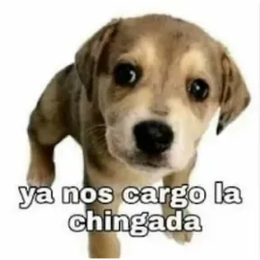 MINAME XD