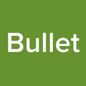 Bullet