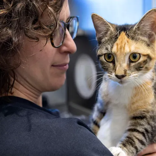 MSPCA sees surge in pet surrenders as owners struggle to find animal-inclusive housing