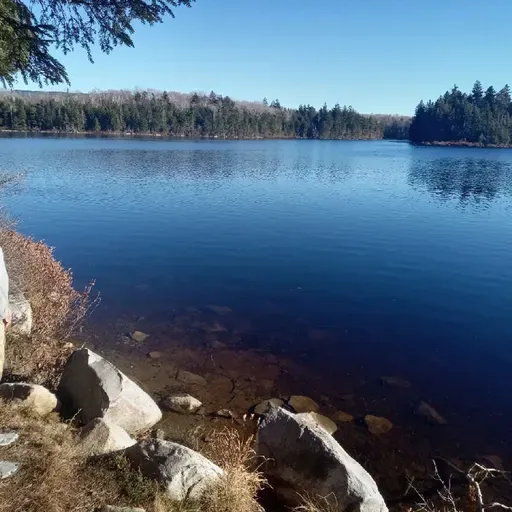 EP 52: Stratton Pond camping