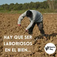 HAY QUE SER LABORIOSOS EN EL BIEN