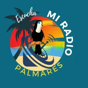 MI RADIO PALMARES
