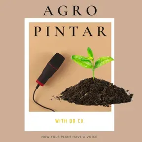 Podcast Agro Pintar