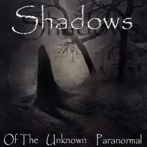IN TO THE SHADOWS