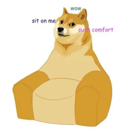 DOGE Dongo dan Perawakannya