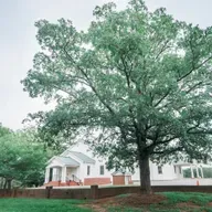 5-24-26 Worship Service