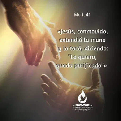 Marcos 1, 40-45 - VI Domingo del Tiempo Ordinario (B) 