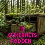 #320 - Utmaningarna med långtidslagring