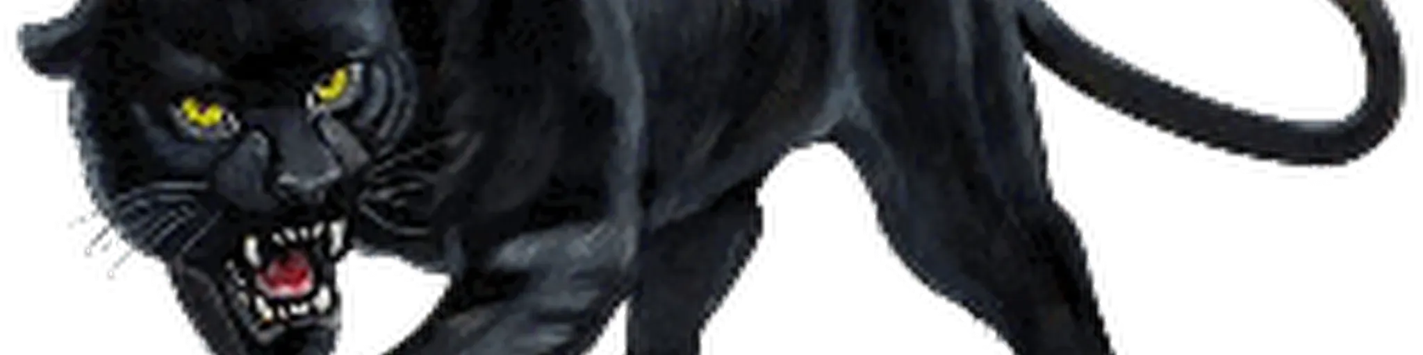 radiopuma