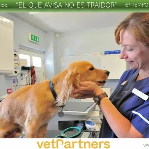 VetPartners
