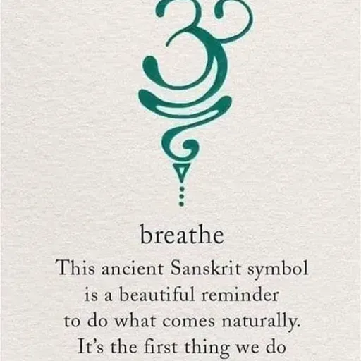 Plant Based Commandment Continued #3