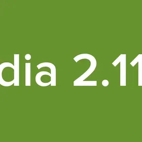 dia 2.11