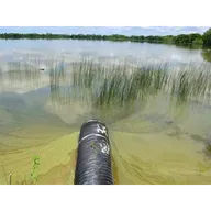 Ear to the Ground 395: The Lobe Rangers