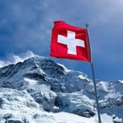 2. Segunda parte Suiza 🇨🇭 Sistemas Políticos Comparados