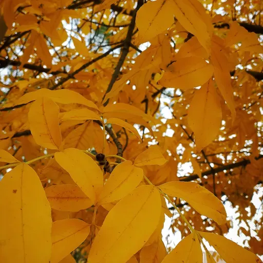 "Ahora que ya no estoy"