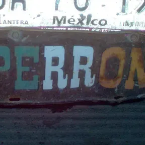 La perrona