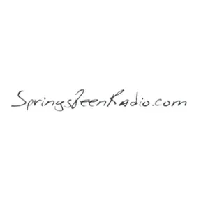 Springsteen Radio