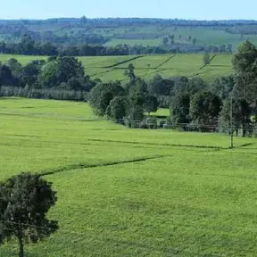 KERICHO BASED STATIONS