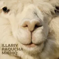 Illariy Paqucha Michiq - Episodio 77
