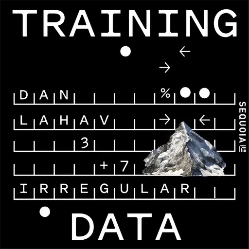 Securing the AI Frontier: Irregular Co-founder Dan Lahav