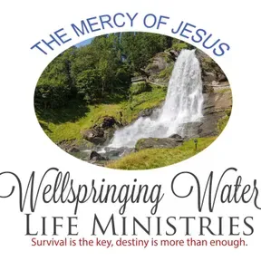 WELLSPRINGINGMINISTRIES