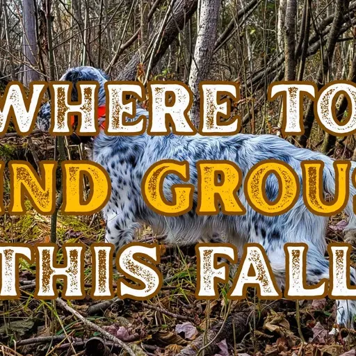 #336 | Habitat Clues Every Upland Hunter Should Know with Ann Jandernoa