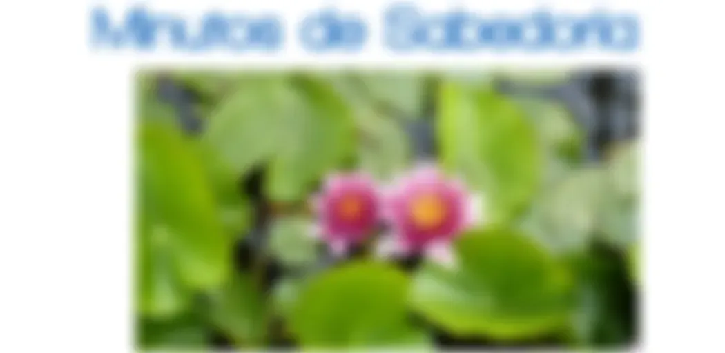 Minutos de Sabedoria